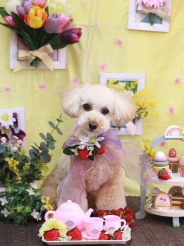 20230322ランチちゃん